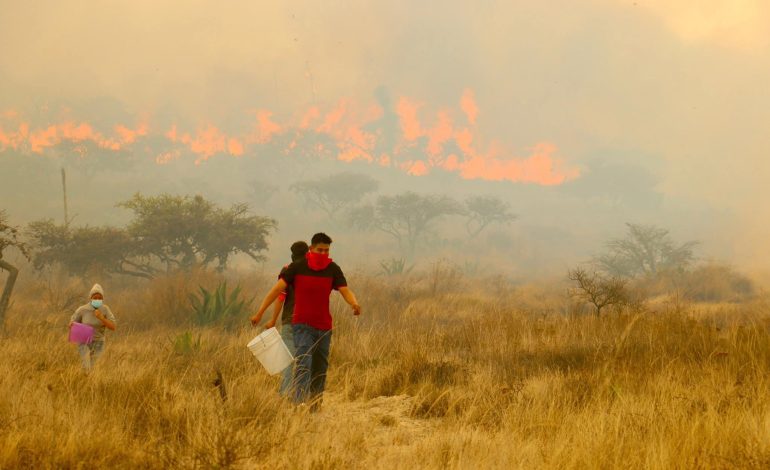  Incendio en Mexquitic de Carmona ya ha afectado 350 hectáreas