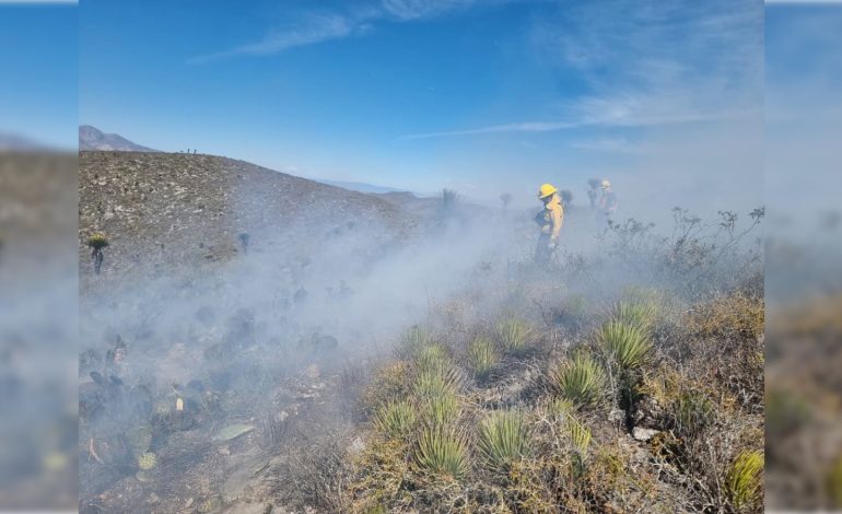  SLP registra 17 mil hectáreas afectadas por incendios en lo que va de 2026