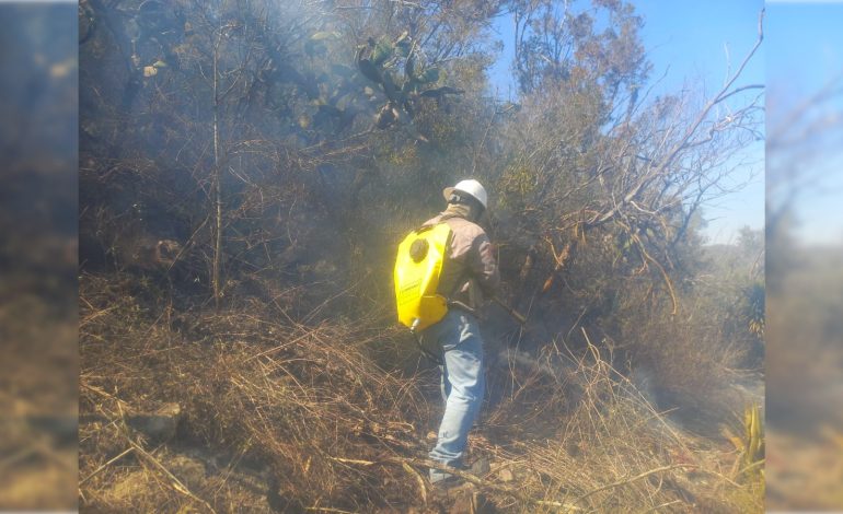  Detienen a una persona en Ahualulco por presuntamente provocar incendio