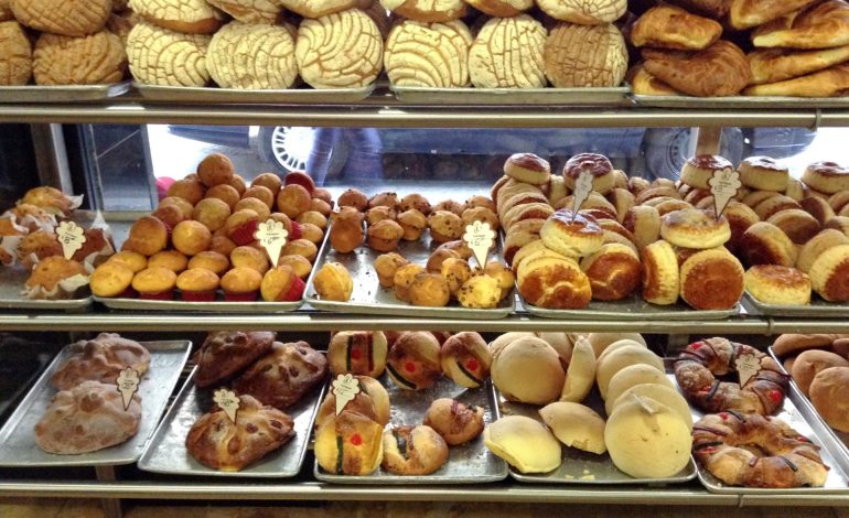  Canainpa alerta: panaderías irregulares generan afectaciones económicas y sanitarias