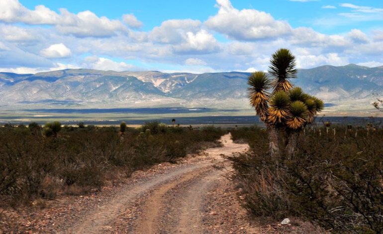  Ejidos del Altiplano piden cancelación de concesiones mineras en Wirikuta