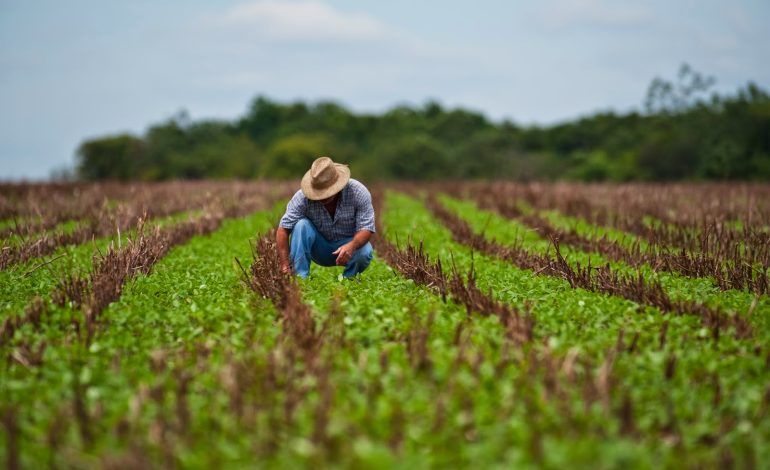  Congreso exhorta a la Conagua y Sedarh por problemas de agua y energía en sector agrícola