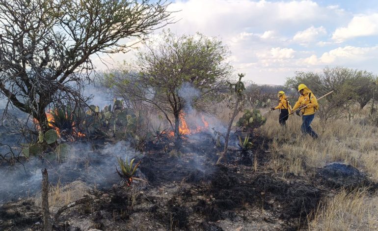  Suman cinco detenidos por incendios provocados en SLP