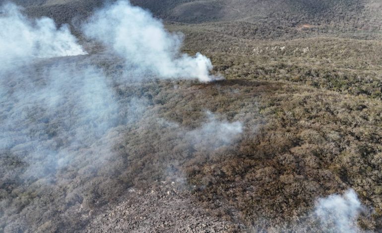  Tras unas semana, incendio en Ciudad del Maíz alcanza 80% de control