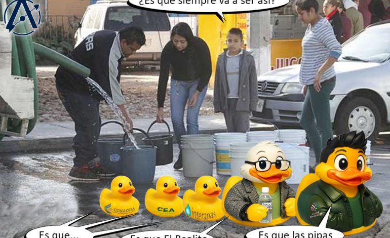  ¿Y el agua, patos?