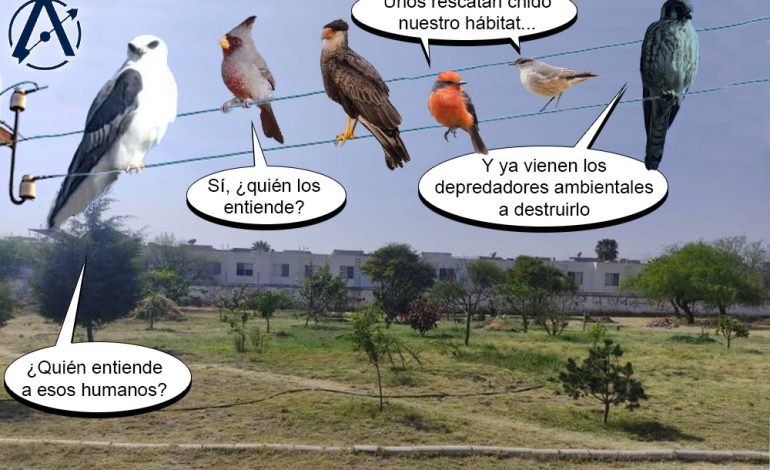  ¿Y ahora dónde vamos a vivir?