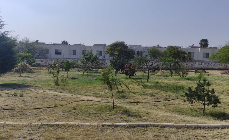  Ayuntamiento de SLP insiste en subastar terreno que vecinos rescataron y volvieron área verde