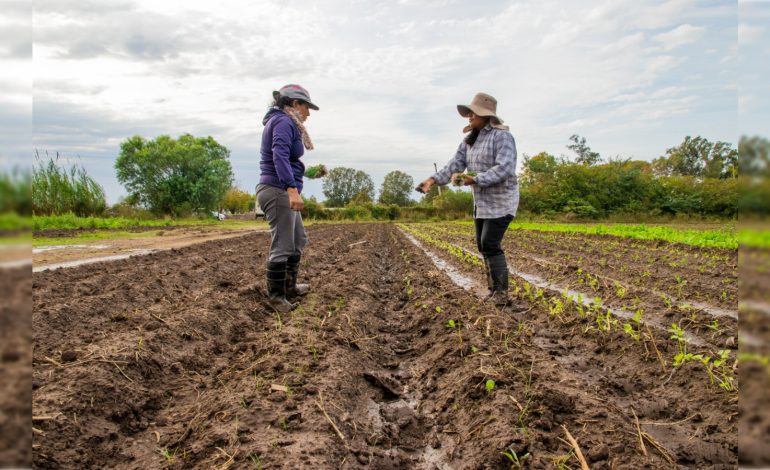  Necesario que las mujeres tengan poder real en la toma de decisiones en el sector hídrico: especialistas