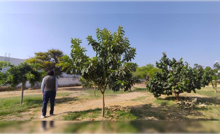  Subasta de área verde en Puerta de Piedra podría beneficiar a inmobiliarias, advierten especialistas