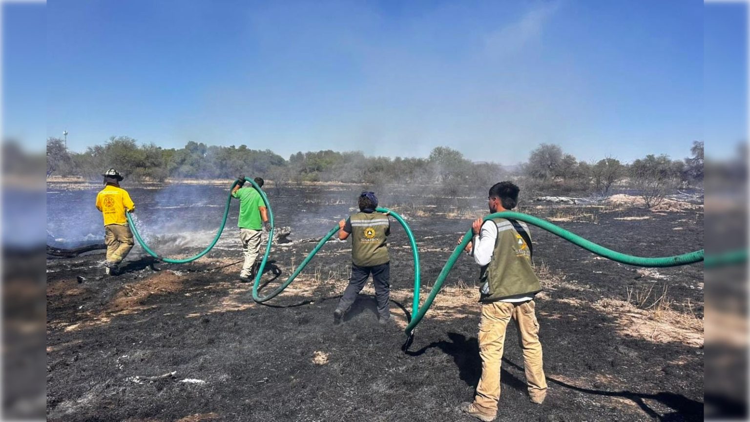Más de 20 mil hectáreas afectadas por incendios en SLP - Astrolabio