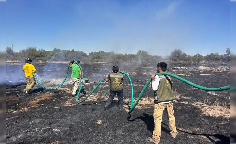  Más de 20 mil hectáreas afectadas por incendios en SLP
