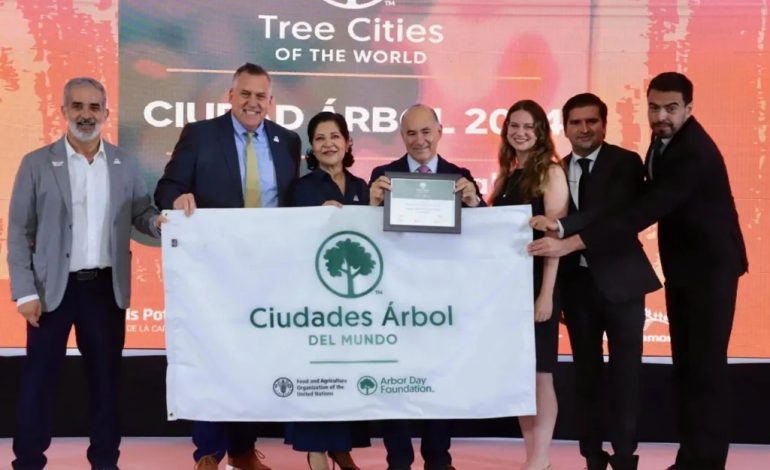  SLP, la “Ciudad Árbol” que subastará un terreno con proyecto de bosque urbano