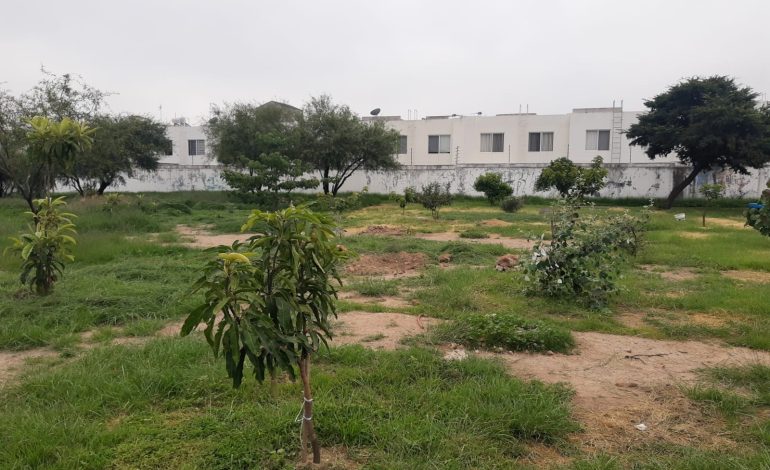  Vecinos de Puerta de Piedra piden retirar a SLP el reconocimiento de “Ciudad Árbol del Mundo”