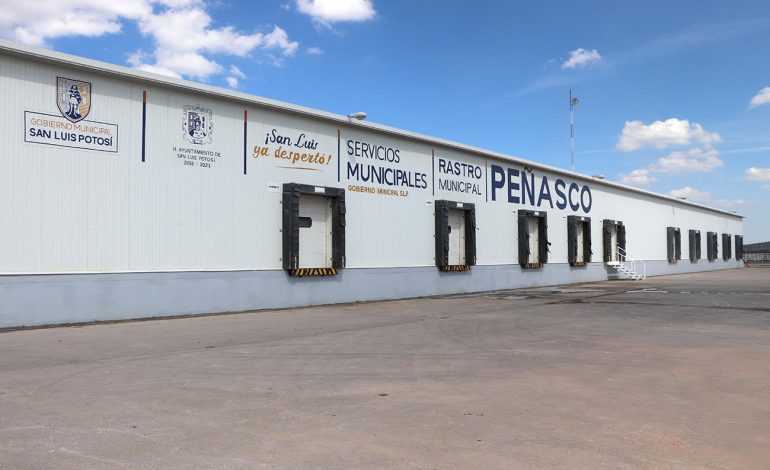  Refuerzan controles en el Rastro Municipal de SLP ante presencia de gusano barrenador en el estado