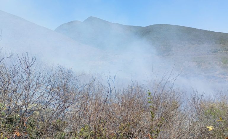  SLP suma 70 incendios forestales y 22 mil hectáreas dañadas en apenas cuatro meses