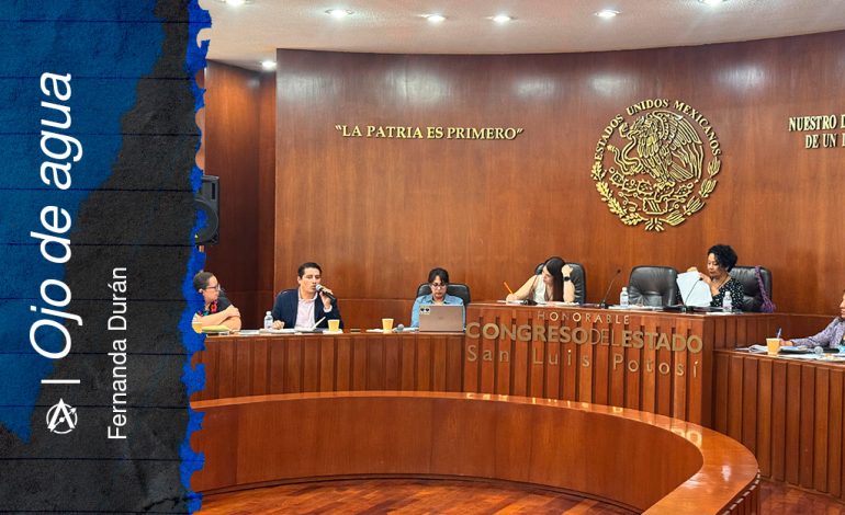  Cuando el Estado escucha… pero administra el tiempo