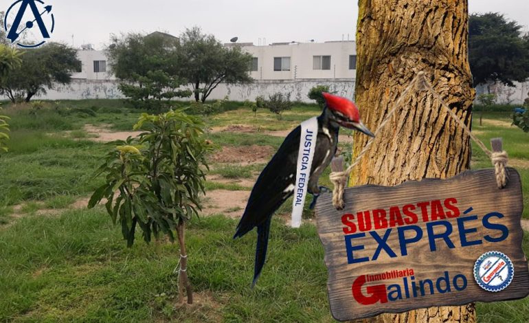  Pequeño inconveniente