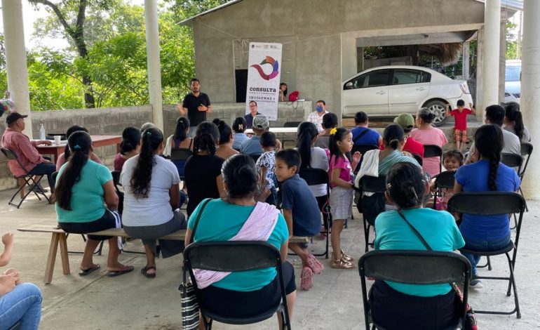  Reducir estándares a consulta indígena de SLP es pedir permiso para discriminar: OIM