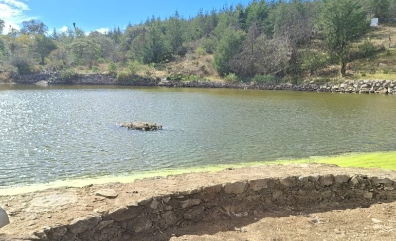  Pese a resolución judicial, CEA incumple abastecimiento de agua a Puerto la Descubridora