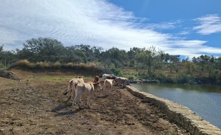 CEA y Conagua anuncian proyecto para atender desabasto de agua en Puerto la Descubridora