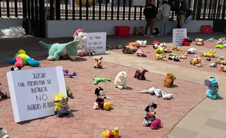  Peluches toman el Poder Judicial para denunciar maltrato institucional contra la infancia en SLP