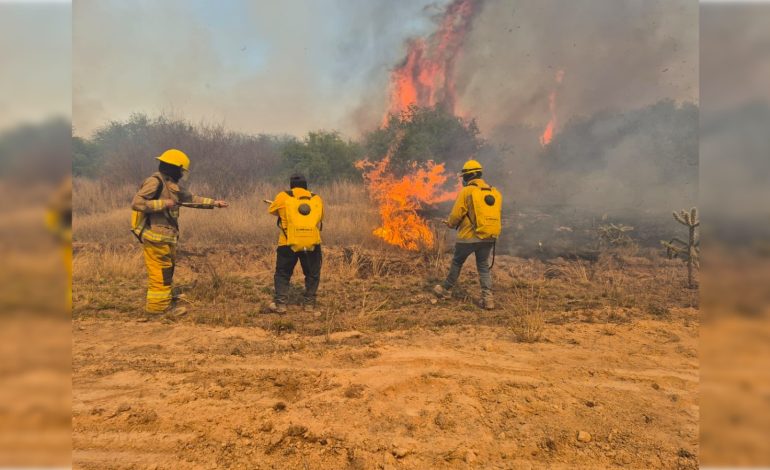  En cuatro meses, incendios en SLP ya superan la superficie afectada de todo 2025
