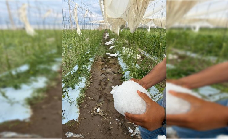  Tromba deja daños en cultivos, viviendas y caminos en la capital y Villa de Arista