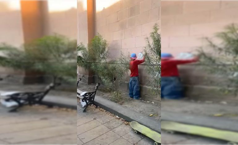  Analizan sanciones contra jóvenes por grafiti en el templo del Saucito