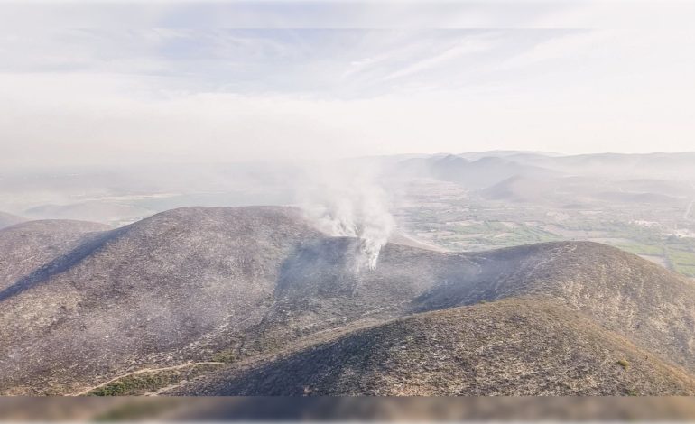  Inciendio forestal activo en comunidad de Matehuala ya suma 250 hectáreas afectadas
