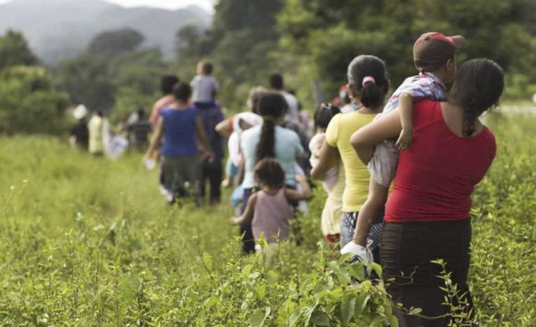  Violencia criminal desplazó a 67 personas de SLP durante 2025