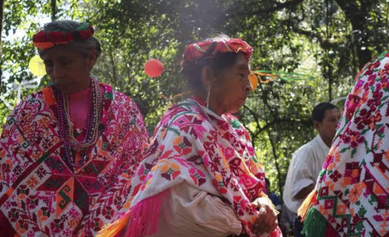  Las comunidades indígenas de SLP pagan el costo de los retrasos en el FAISPIAM: OIM