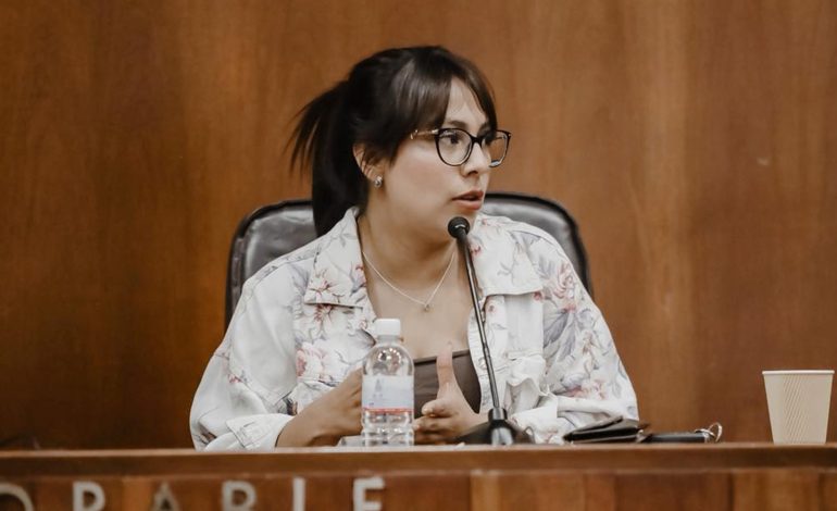  Diputada cuestiona comparecencias del Congreso tras exhibirse rezago tecnológico de la FGESLP