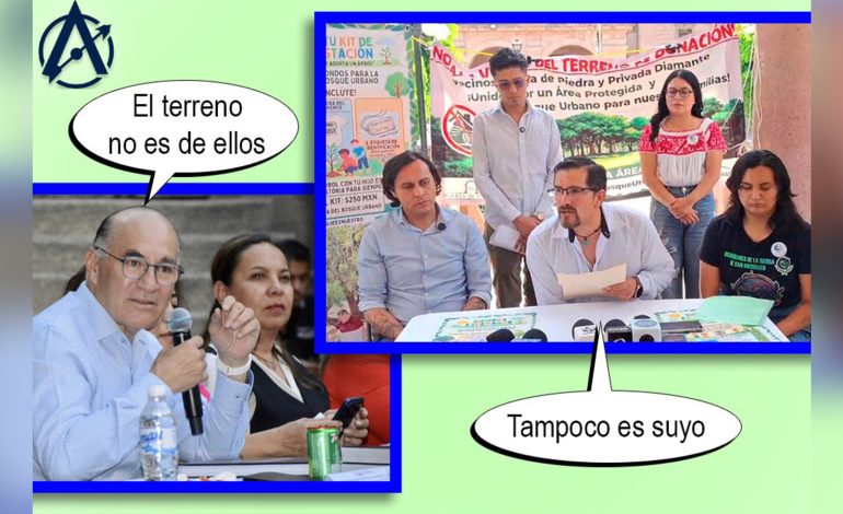  Tierra de nadie, bosque de todos