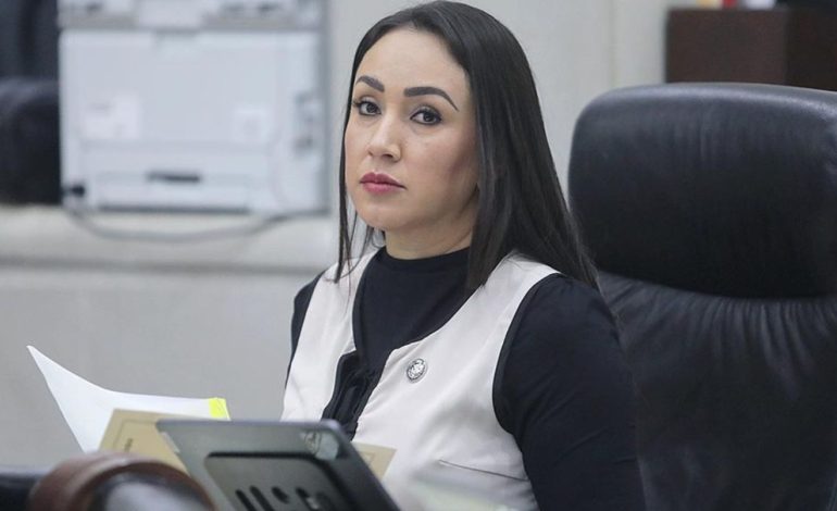  Diputada cuestiona criterios dispares por iniciativas sobre embarazo adolescente