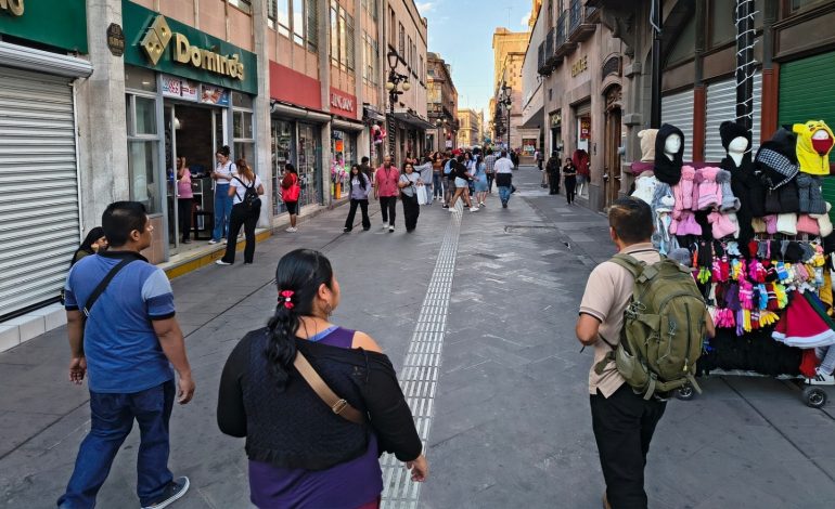  Regularización en negocios, la principal área de oportunidad detectada por el Ayuntamiento de SLP