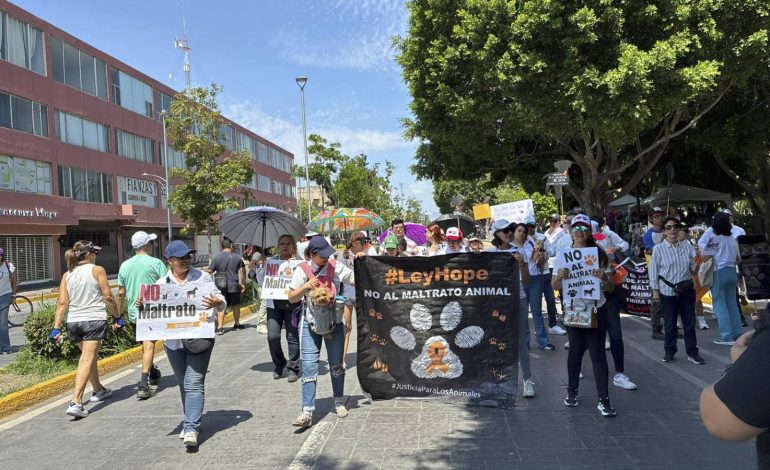  Colectivos alertan sobre posibles antecedentes de maltrato animal en Soledad