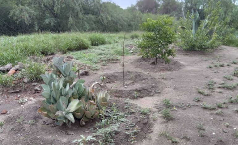  Continúan los esfuerzos ciudadanos por el rescate del río Paisanos