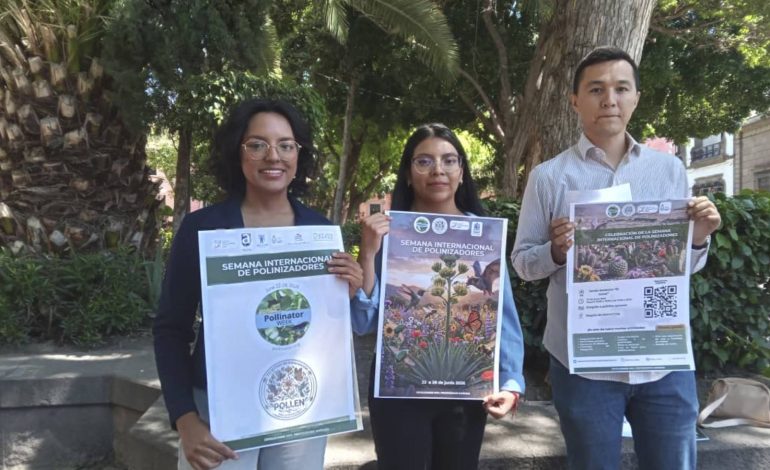  Convocan a participar en la Semana Internacional de Polinizadores