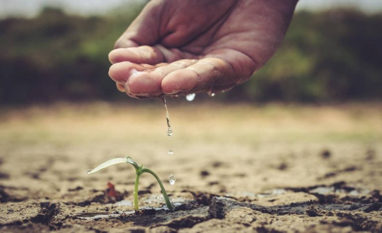  Urgente que la ciudadanía se organice para exigir una gestión sustentable del agua: experto