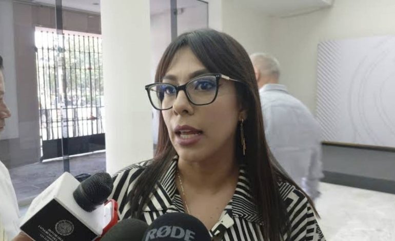  Diputada propone derogar delitos de la Ley Serrano y corregir reforma antes de que resuelva la SCJN