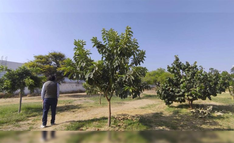  Comprador de predio de Puerta de Piedra subastado por el Ayuntamiento evalúa desistirse