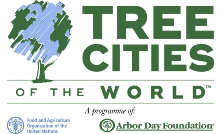  Programa que distinguió a SLP como “Ciudad Árbol” se deslinda de subasta de área verde