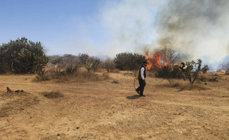  Termina la temporada crítica de incendios con 23 mil 500 hectáreas afectadas en SLP