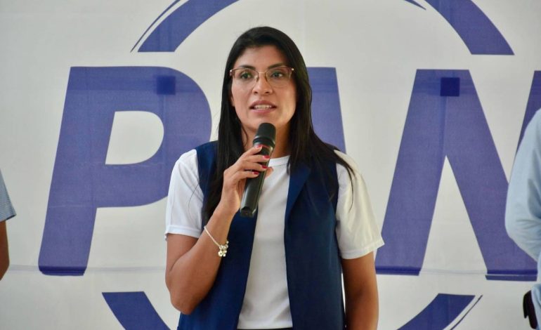  PAN pide al Ceepac investigar posible promoción anticipada del PVEM