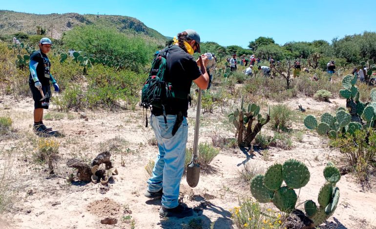  Inician temporada de reforestaciones ciudadanas en el ANP Sierra de San Miguelito