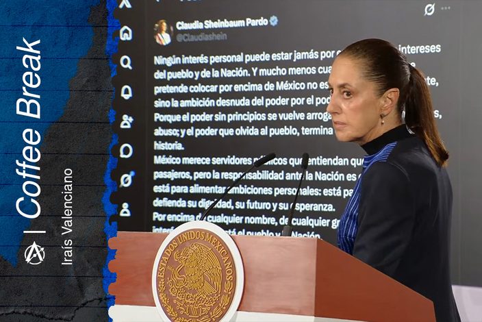  ¿Qué piensa la presidenta?