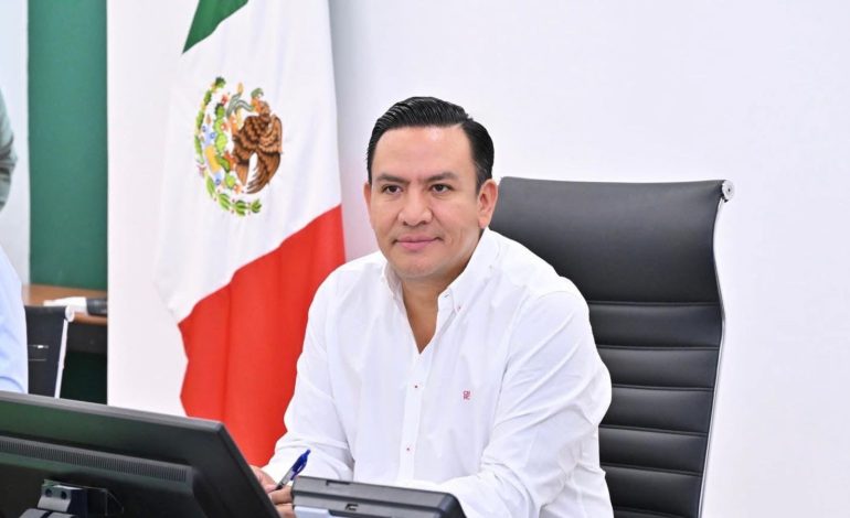  Reducción de las precampañas no afectará la participación política: Guadalupe Torres