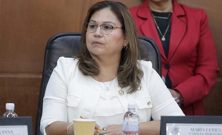  Diputada propone reducir a 20 días las precampañas para todos los cargos