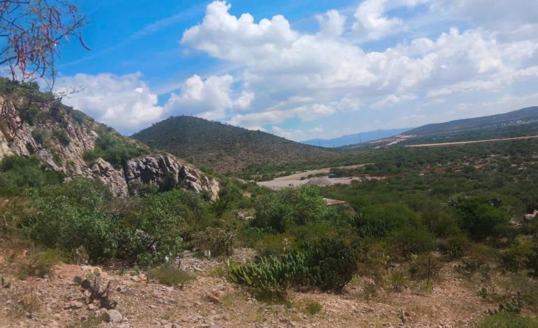  Hallazgo de una tumba prehispánica en Cerro Gordo marca un precedente para el patrimonio de la región