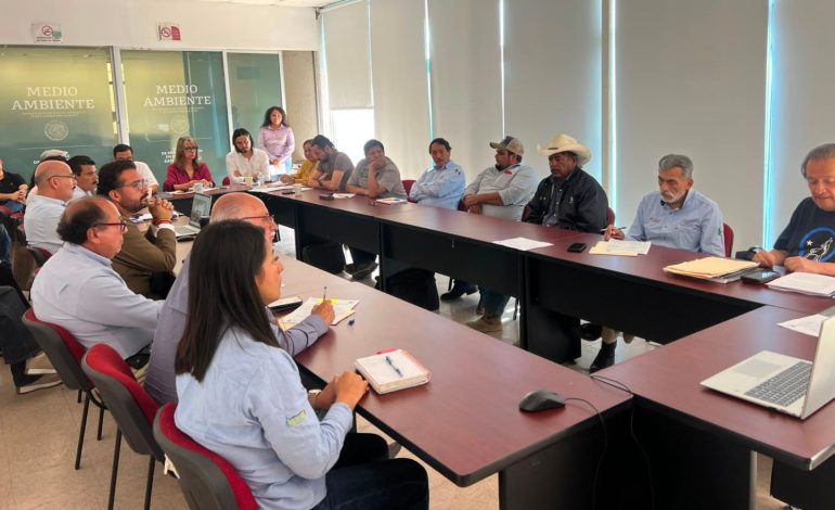  Mesa Ambiental de Semarnat aborda afectaciones por nueva carretera a Matehuala y daños en Cerro Gordo